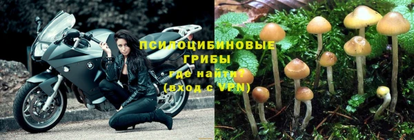 дживик Беломорск